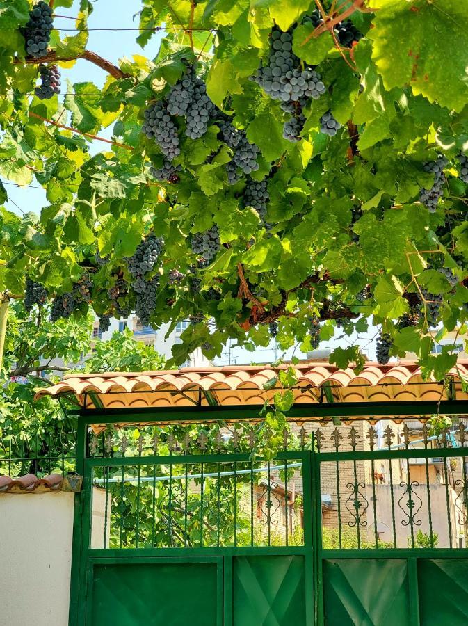 Unique Traditional House, Hosted By J&G Τίρανα Εξωτερικό φωτογραφία
