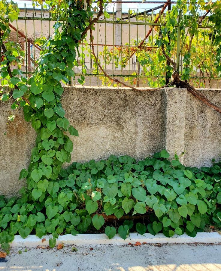 Unique Traditional House, Hosted By J&G Τίρανα Εξωτερικό φωτογραφία