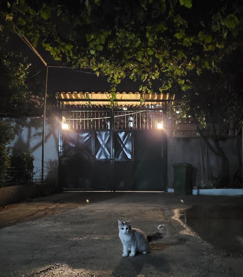 Unique Traditional House, Hosted By J&G Τίρανα Εξωτερικό φωτογραφία