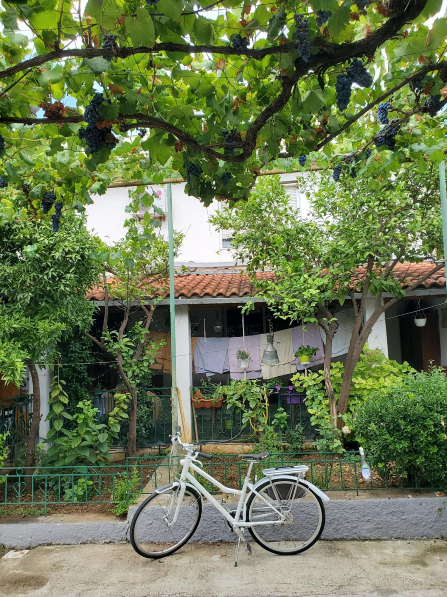 Unique Traditional House, Hosted By J&G Τίρανα Εξωτερικό φωτογραφία