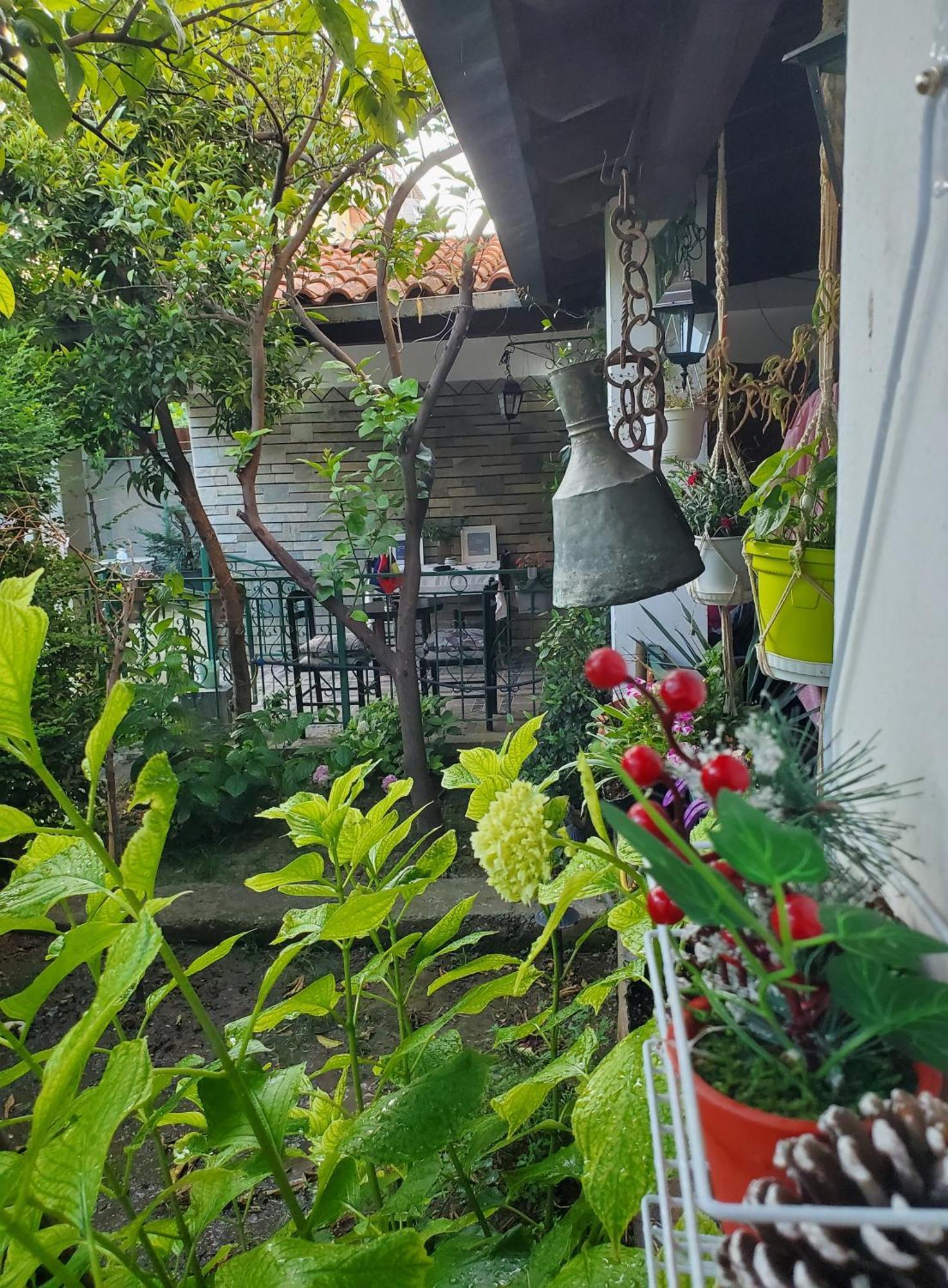 Unique Traditional House, Hosted By J&G Τίρανα Εξωτερικό φωτογραφία